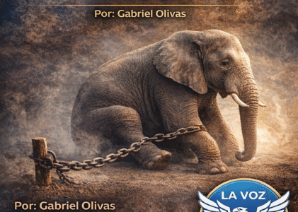 La estaca mental del universitario: Disonancia y control en la UAS